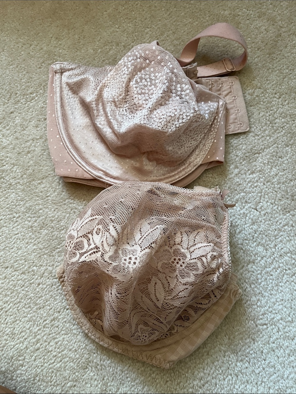 Primadonna& Wacoal Women's Lace Underwire Bra in beige 40F